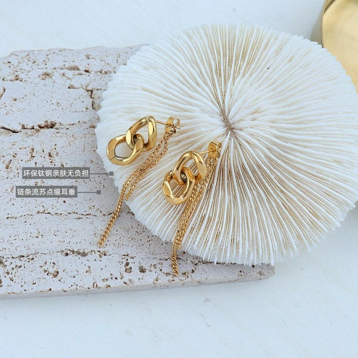Elegant titanium steel earrings