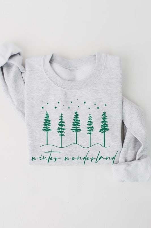 Winter Wonderland Graphic Fleece Sweatshirts